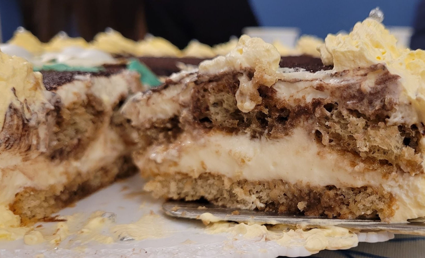 Torta tiramisù pandorata, meglio del classico col pandoro avanzato. Con questa crema si scioglierà in bocca